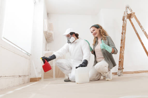 Oak Grove, MO Mold Removal Company